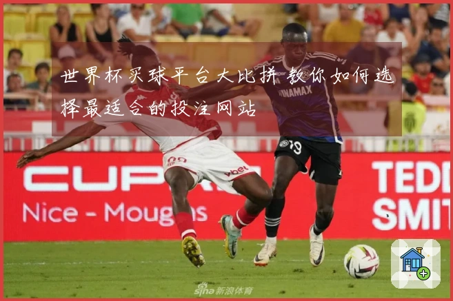 世界杯买球平台大比拼 教你如何选择最适合的投注网站