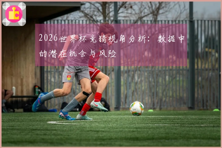 2026世界杯竞猜视角分析：数据中的潜在机会与风险