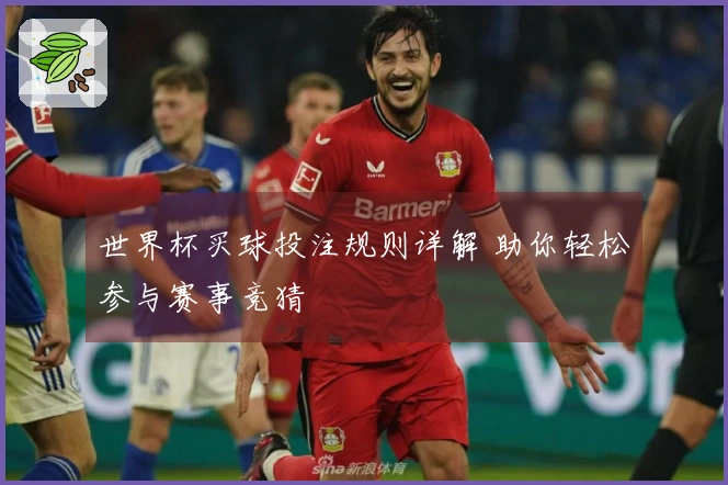 世界杯买球投注规则详解 助你轻松参与赛事竞猜