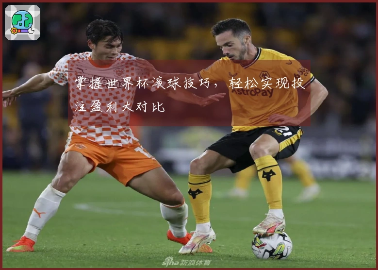 掌握世界杯滚球技巧，轻松实现投注盈利大对比