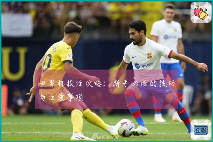 世界杯投注攻略：新手必读的技巧与注意事项