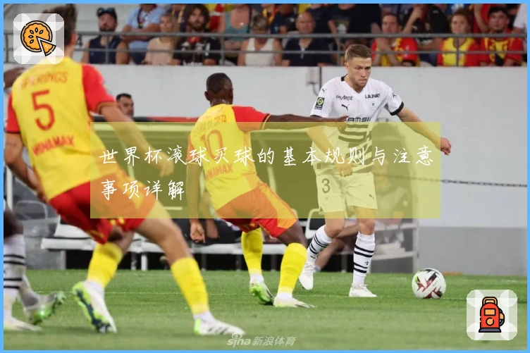 世界杯滚球买球的基本规则与注意事项详解