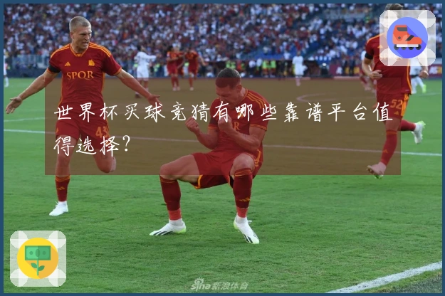 世界杯买球竞猜有哪些靠谱平台值得选择？