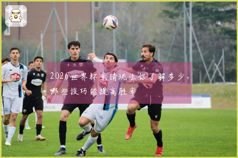 2026世界杯竞猜玩法你了解多少，哪些技巧能提高胜率