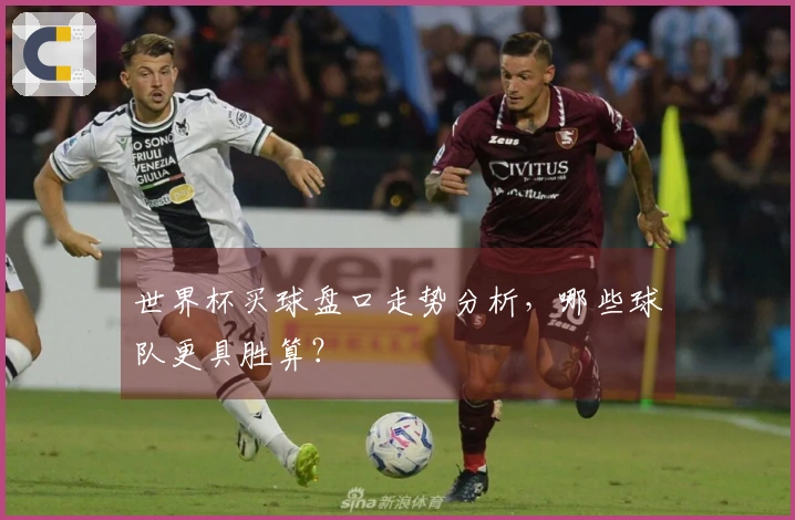 世界杯买球盘口走势分析，哪些球队更具胜算？