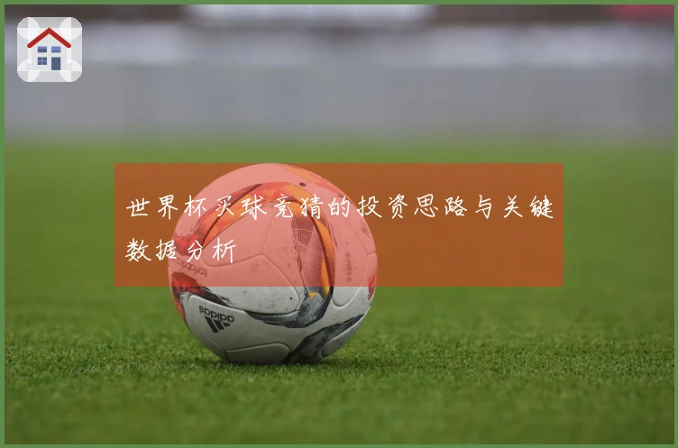 世界杯买球竞猜的投资思路与关键数据分析