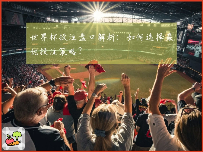 世界杯投注盘口解析：如何选择最优投注策略？