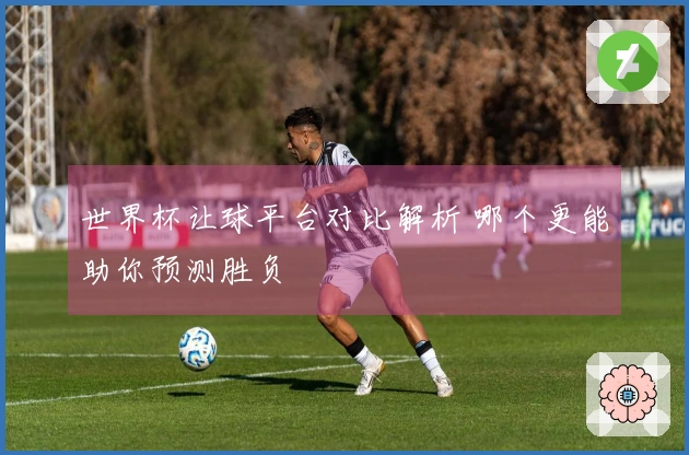 世界杯让球平台对比解析 哪个更能助你预测胜负