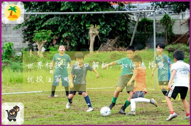 世界杯投注盘口解析：如何选择最优投注策略？