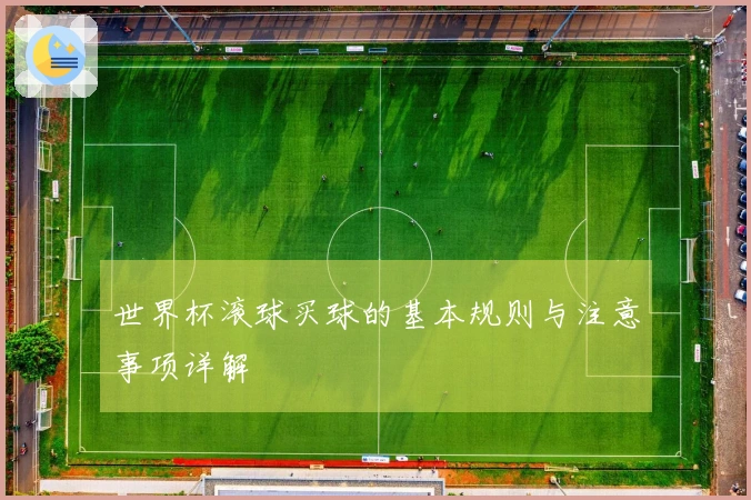 世界杯滚球买球的基本规则与注意事项详解