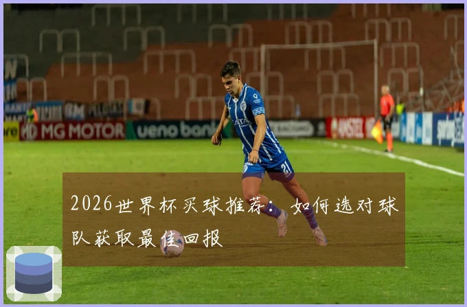 2026世界杯买球推荐：如何选对球队获取最佳回报