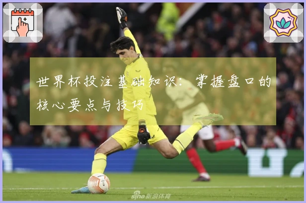 世界杯投注基础知识：掌握盘口的核心要点与技巧