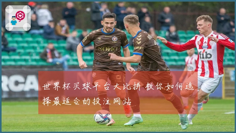世界杯买球平台大比拼 教你如何选择最适合的投注网站