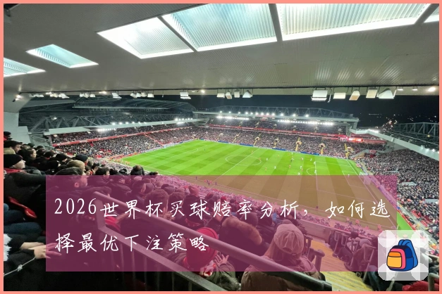2026世界杯买球赔率分析，如何选择最优下注策略