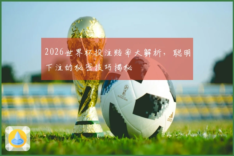 2026世界杯投注赔率大解析，聪明下注的秘密技巧揭秘