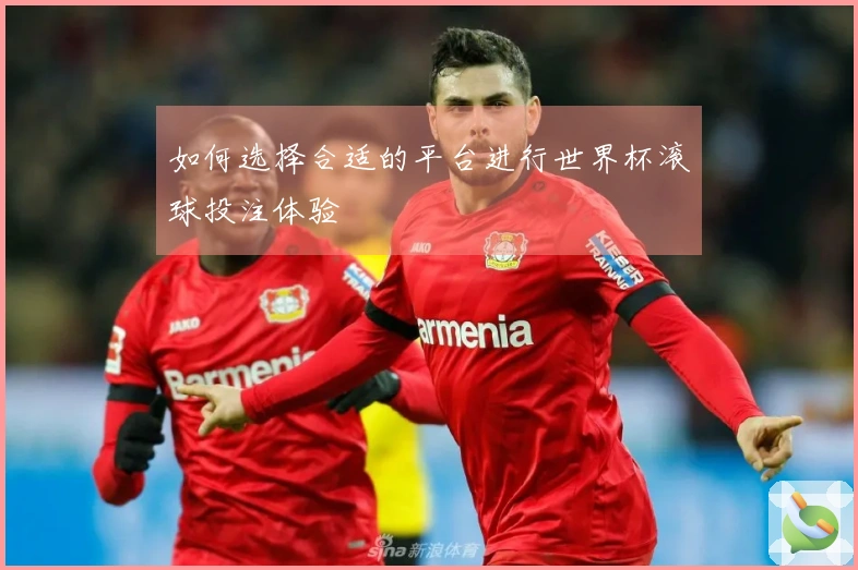 如何选择合适的平台进行世界杯滚球投注体验